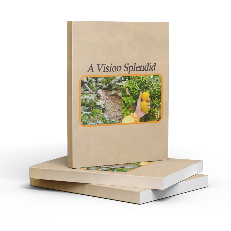 A Vision Splendid - 2011 Edition